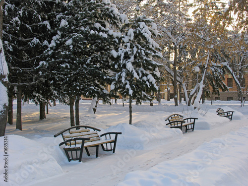 benches  under the snow