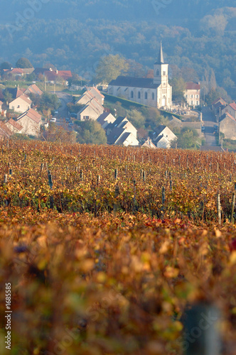 village vigneron