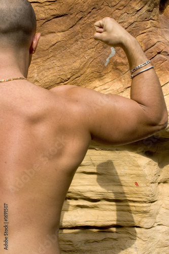 a male body builder
