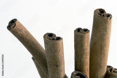 cinnamon sticks