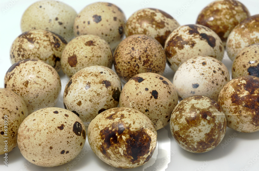 quail eggs