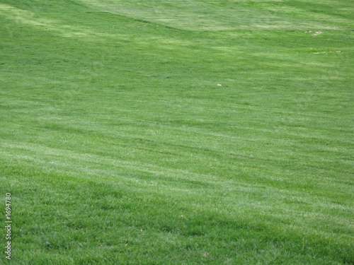 lawn