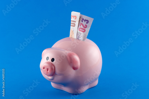 piggy bank photo