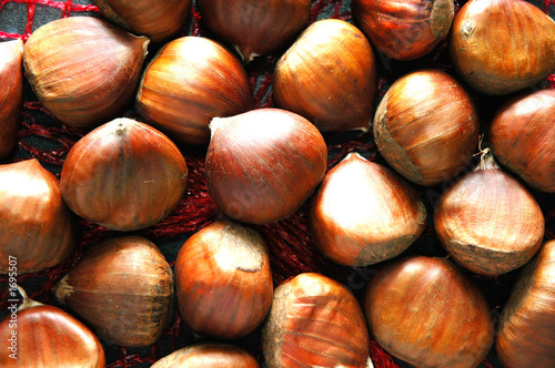 chestnuts