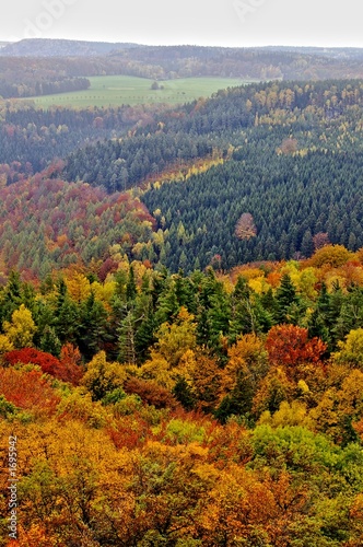 herbstlandschaft