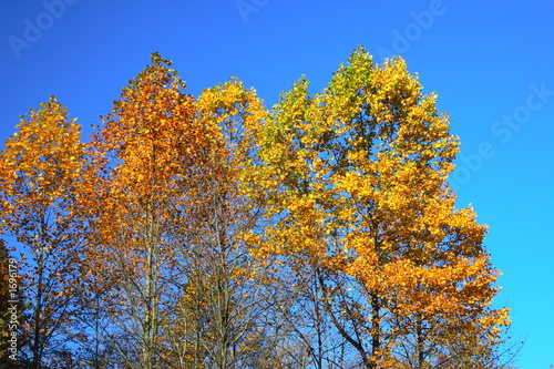 shades of fall colors 2