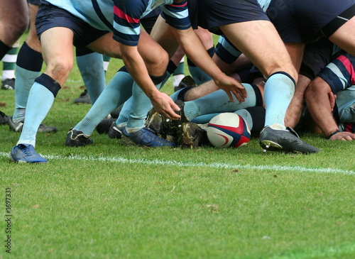 rugby