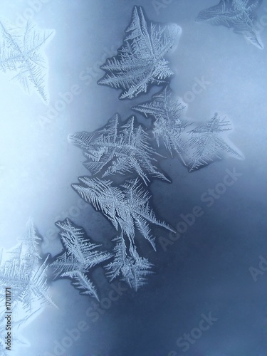 frosty pattern. snowflakes