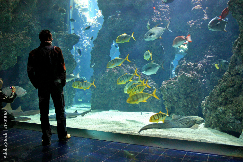 Naklejka premium visitor to underwater world