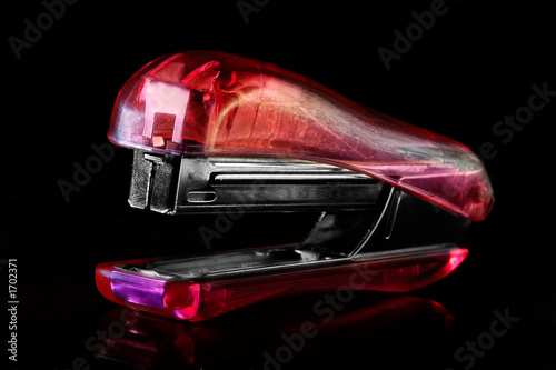 Canvas Print stapler