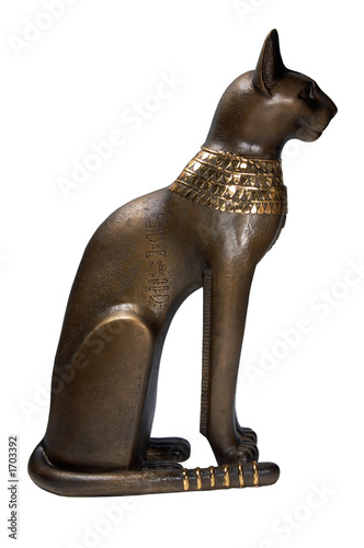 egyptian cat