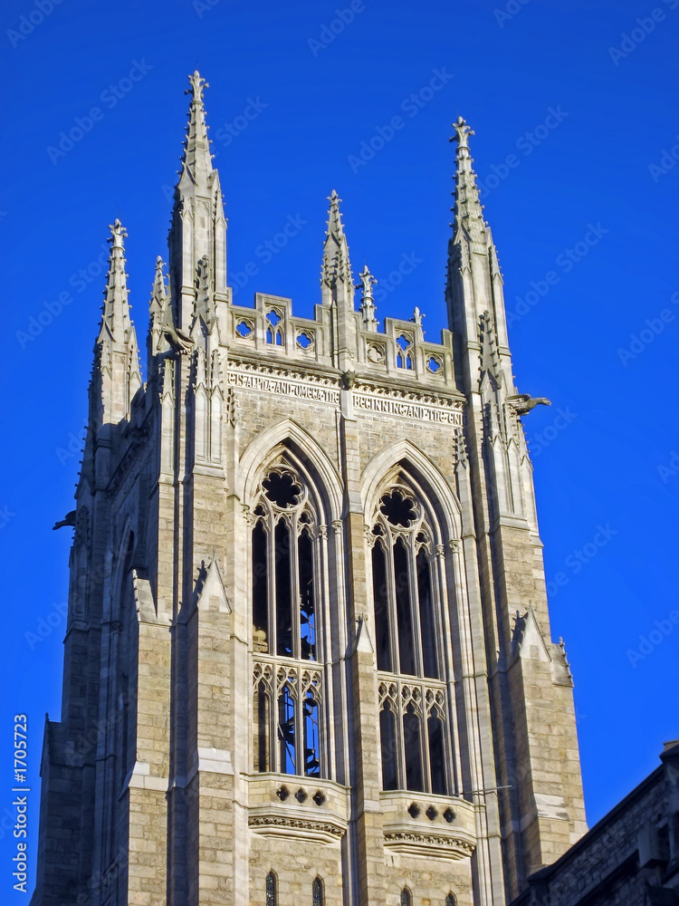 Fototapeta premium cathedral tower