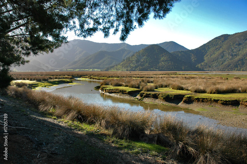 pelorus river marshland