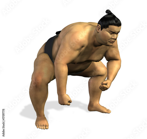 Obraz na plátne sumo wrestler 2