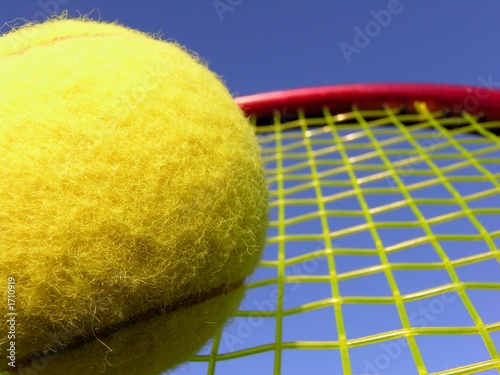 ball and racket photo