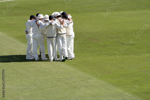 team spirit photo