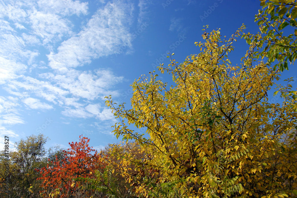 colors of autumn - fall motive