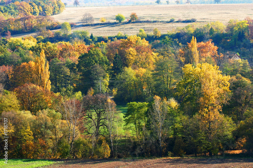 fall colors - autumn countryside