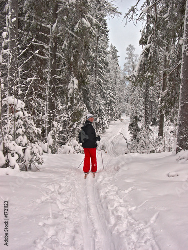 winter forest. happy woman