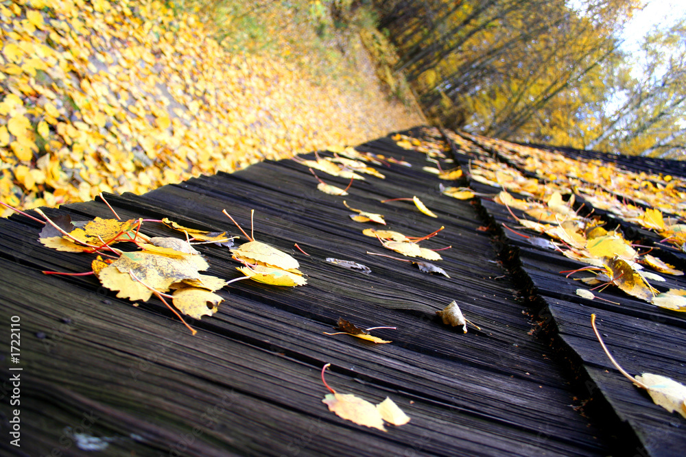 Obraz premium roof, autumn landscape