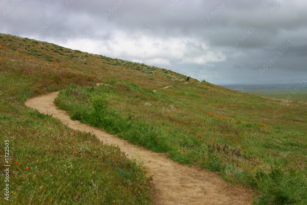 hill with dirt path landscape