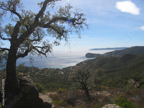 col du rayol