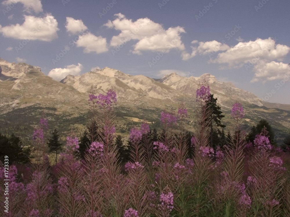 devoluy valley alps france mountains scenery lands devoluy valley alps france mountains scenery lands