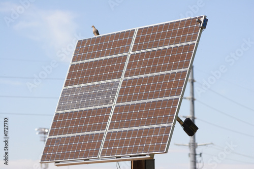 solar panel with a bird on top.