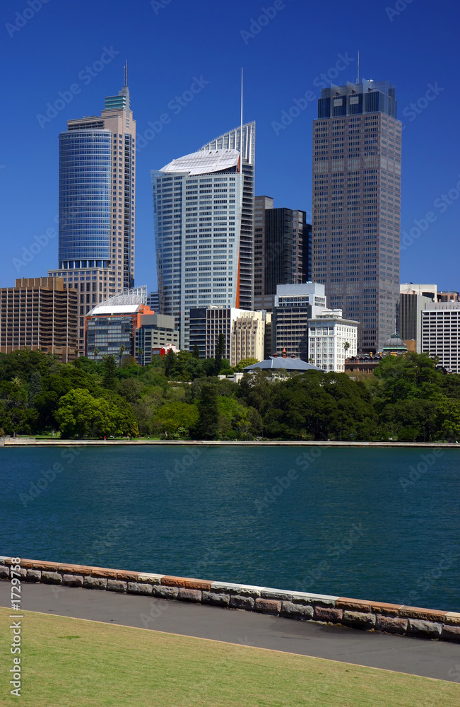 Naklejka premium sydney skyline