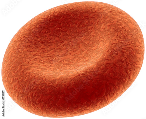 red blood cell