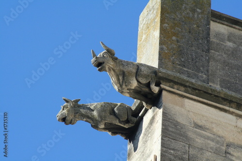 les deux gargouilles photo