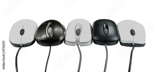 five mouses