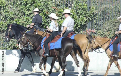  mounted police patrol