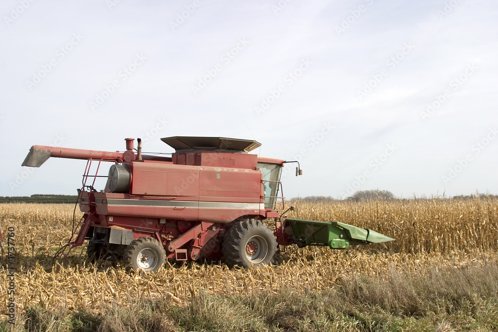 Obraz premium corn combine