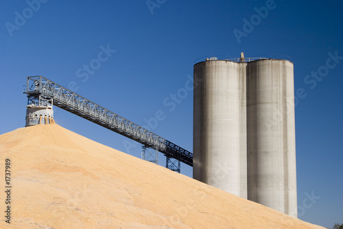 corn at the grain elevator