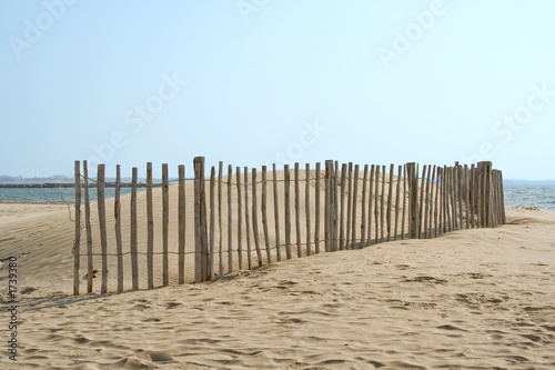 Fototapeta Naklejka Na Ścianę i Meble -  Piquets de dune