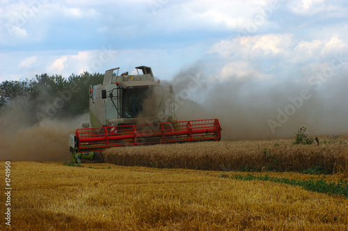 Canvastavla moisson du blé