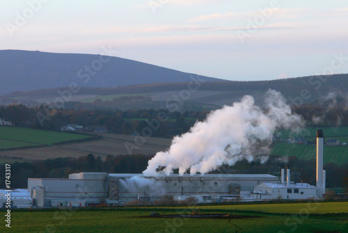 paper mill