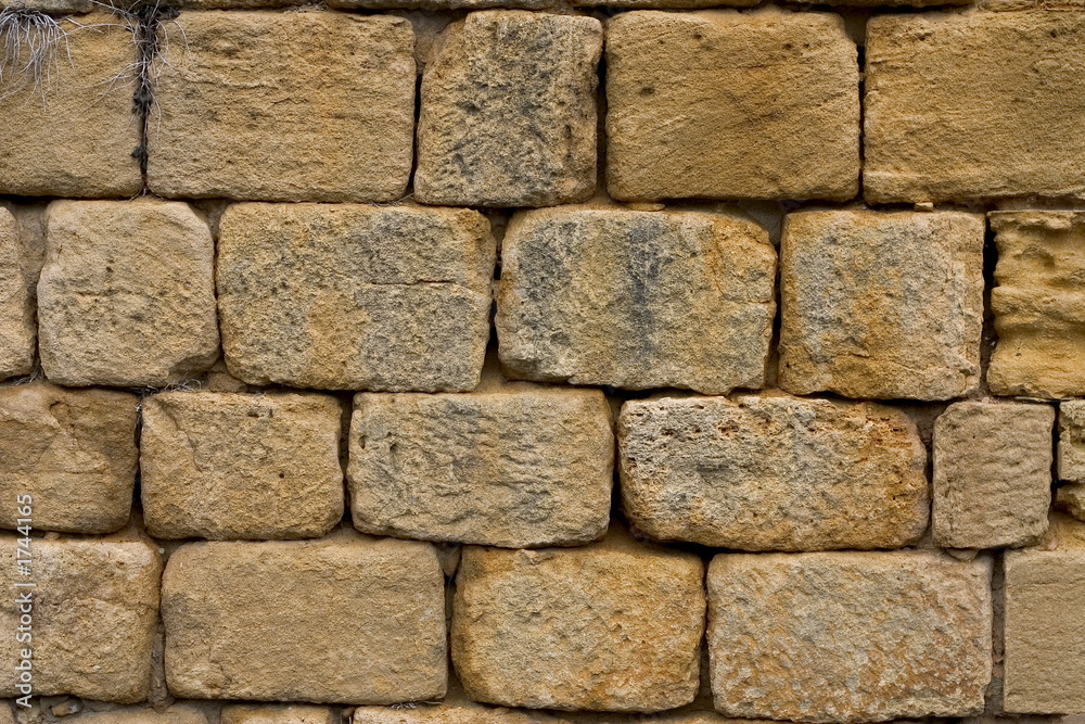 Obraz premium stone wall