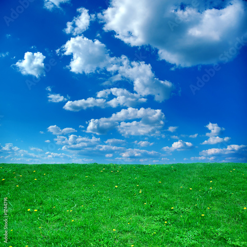 green field and blue sky background