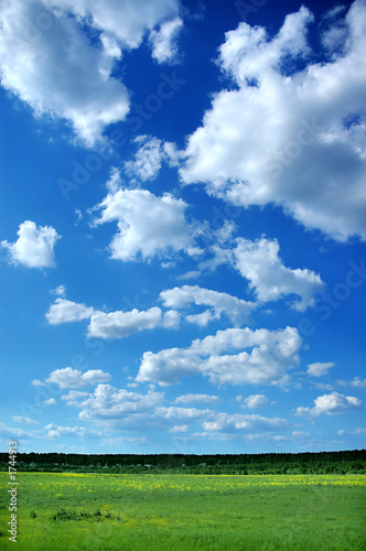 blue sky & green grass, nature background