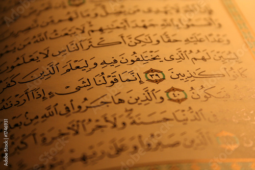  pages of holy koran