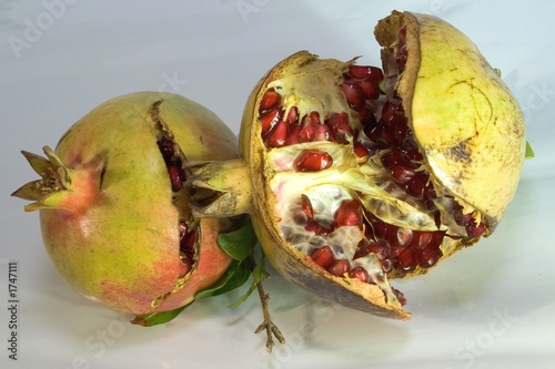 fruits 045 photo