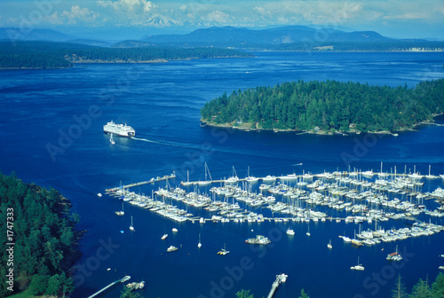 friday harbor from the air photo