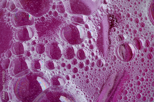 purple suds photo