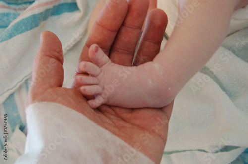 newborn foot in daddy's hand