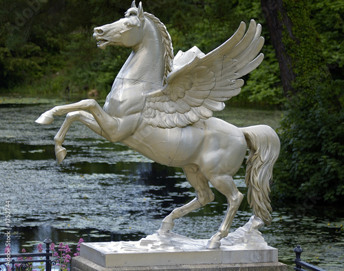 Photography pegasus