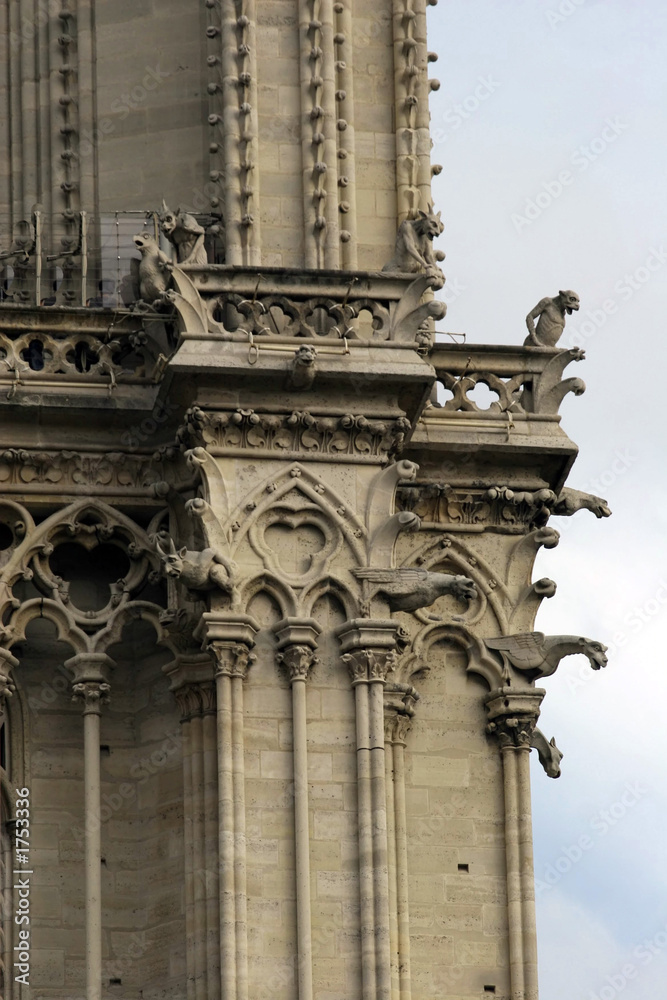 notre dame tower detail.