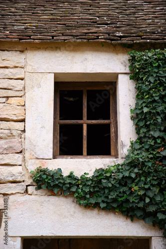 old window