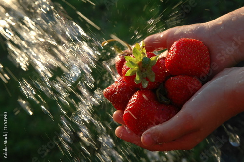 strawberry under a jet of water.